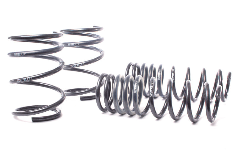 H&R 04-06 BMW 525i/530i/545i E60 Race Spring (w/o Self Leveling) - 50460-88